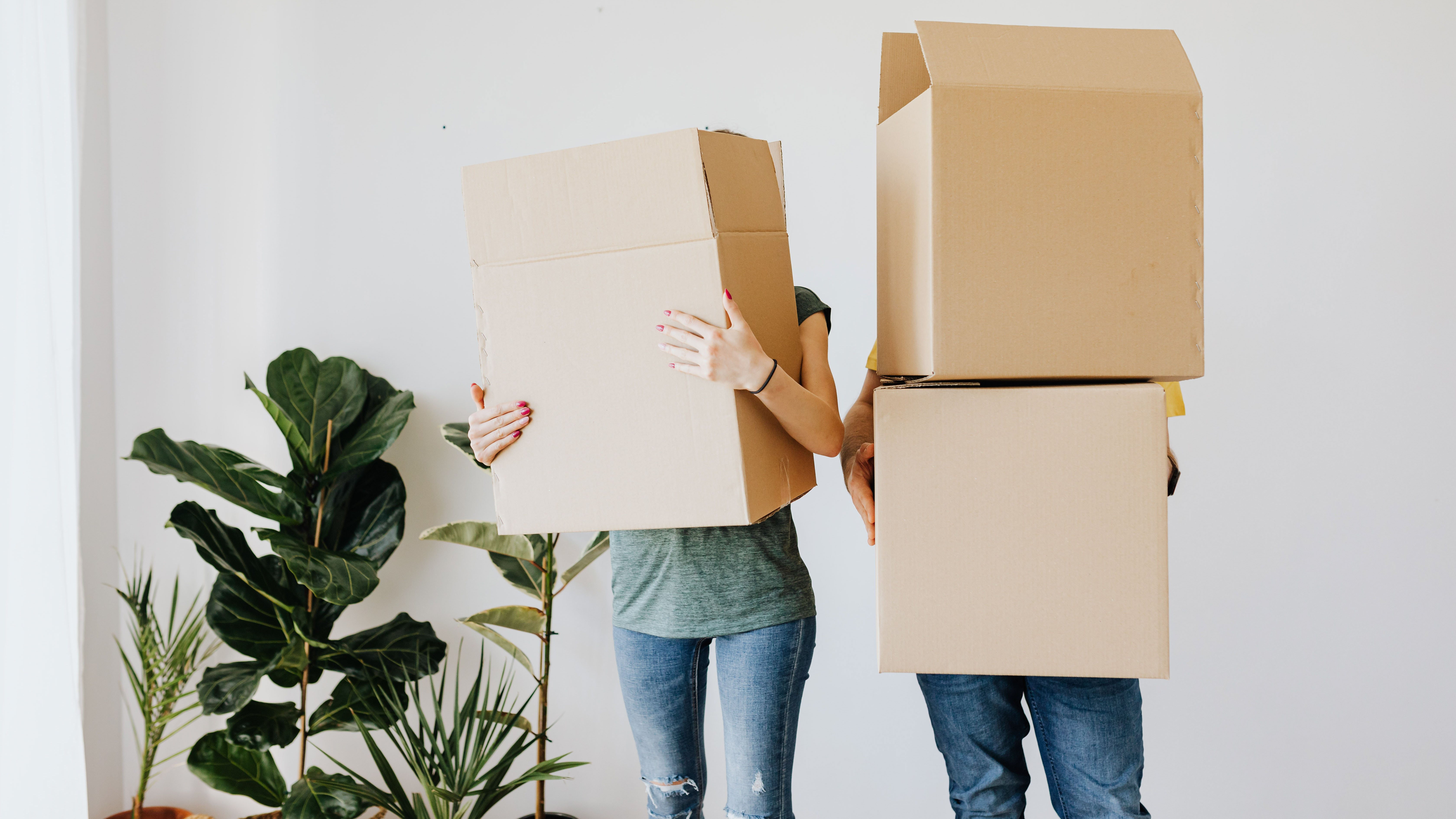 Two people holding cardboard boxes. Person on left holds one large box and person of right hold two boxes stacked, you cannot see their faces. Both people wear blue jeans. There is a leafy plant to the left.