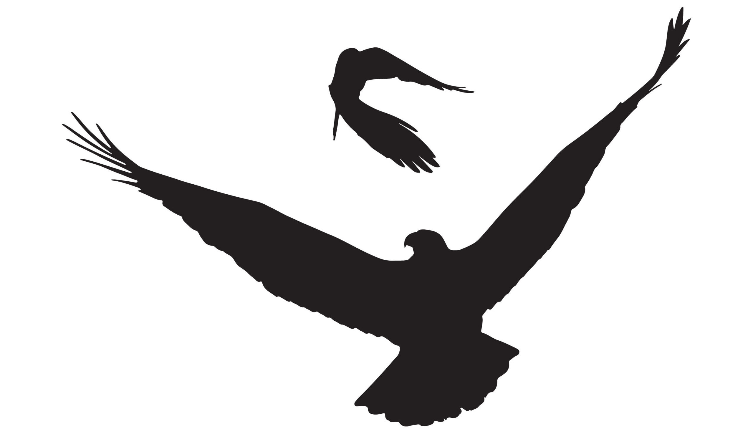 Jeremy Koreski Logo