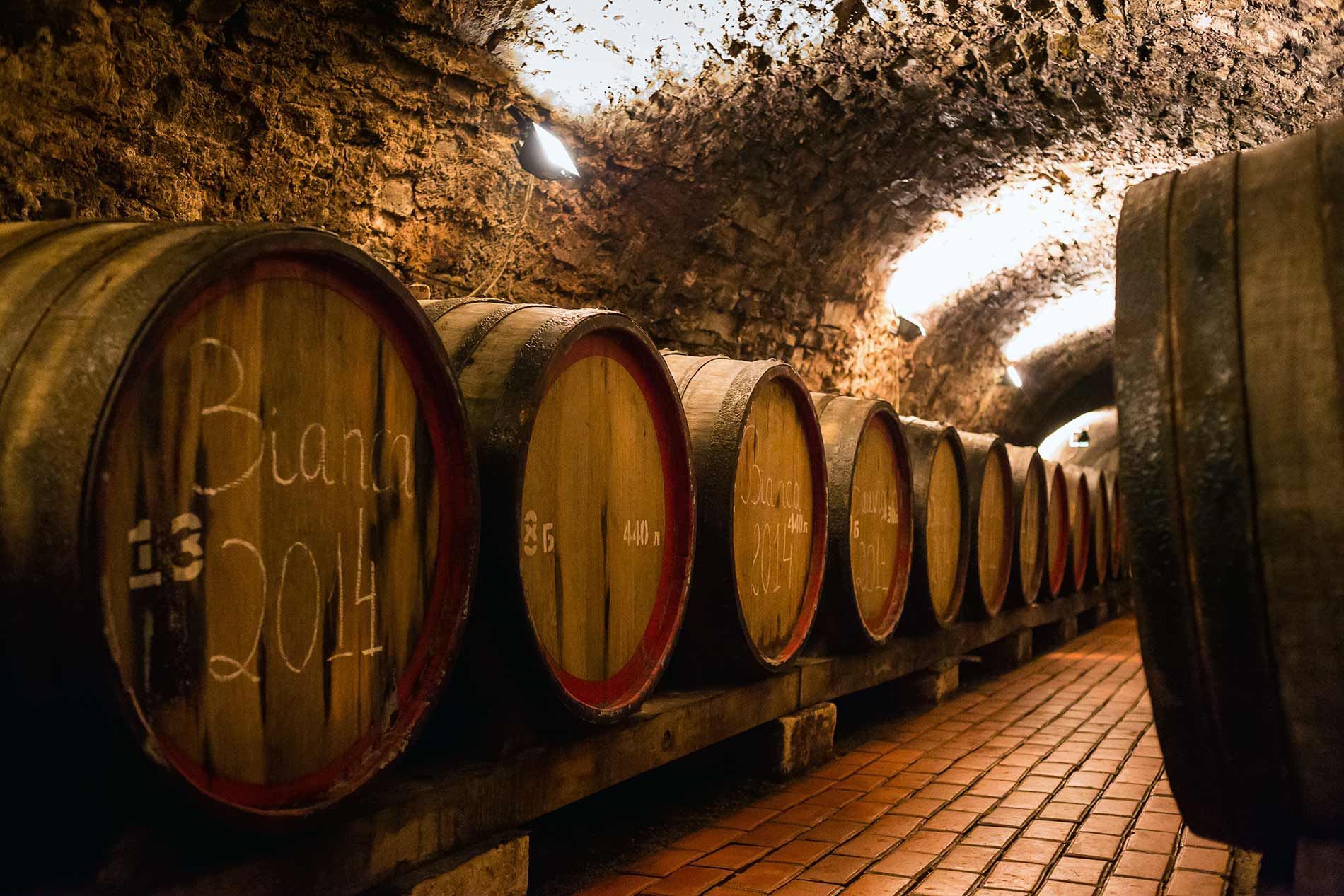 Whisky barrels in cellar
